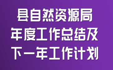 县自然资源局年度工作总结及下一年工作计划