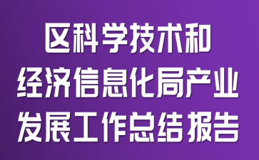 区科学技术和经济信息化局产业发展工作总结报告