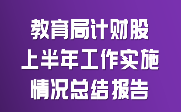 �����ּƲƹ��ϰ��깤��ʵʩ����ܽᱨ��