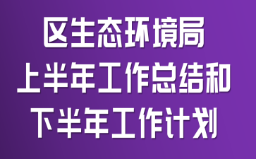 区生态环境局上半年工作总结和下半年工作计划