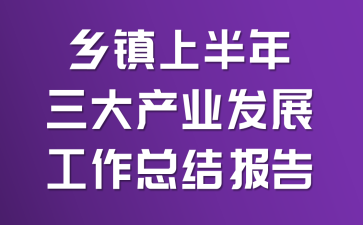 乡镇上半年三大产业发展工作总结报告