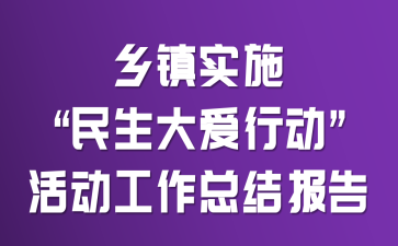 乡镇实施“民生大爱行动”活动工作总结报告
