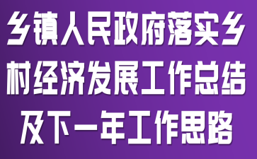 乡镇人民政府落实乡村经济发展工作总结及下一年工作思路