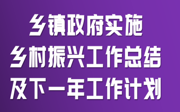 乡镇政府实施乡村振兴工作总结及下一年工作计划