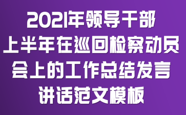 2021年领导干部上半年在巡回检察动员会上的工作总结发言讲话范文模板