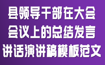 县领导干部在大会会议上的总结发言讲话演讲稿模板范文