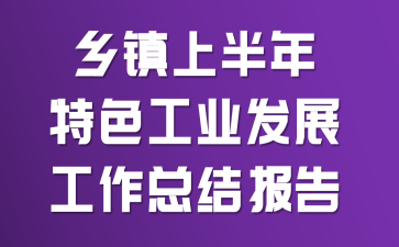 乡镇上半年特色工业发展工作总结报告