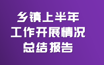 乡镇上半年工作开展情况总结报告