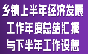 乡镇上半年经济发展工作年度总结汇报与下半年工作设想