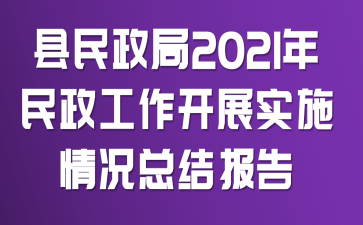 县民政局2021年民政工作开展实施情况总结报告
