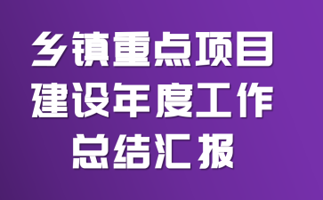 乡镇重点项目建设年度工作总结汇报
