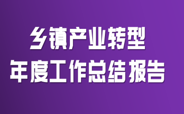 乡镇产业转型年度工作总结报告