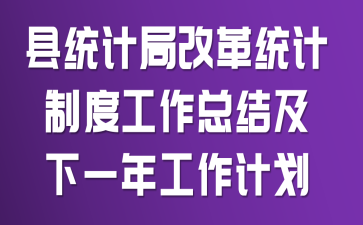 ��ͳ�ƾָĸ�ͳ���ƶȹ����ܽἰ��һ�깤���ƻ�