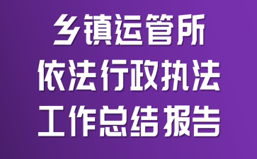 乡镇运管所依法行政执法工作总结报告