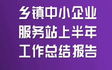 ������С��ҵ����վ�ϰ��깤���ܽᱨ��