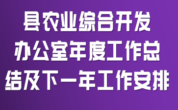 县农业综合开发办公室年度工作总结及下一年工作安排