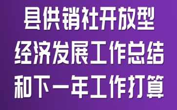 县供销社开放型经济发展工作总结和下一年工作打算