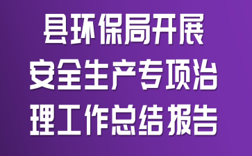 县环保局开展安全生产专项治理工作总结报告