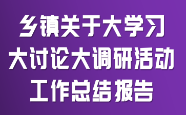 乡镇关于“大学习、大讨论、大调研”活动工作总结报告