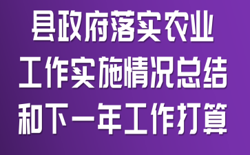 县政府落实农业工作实施情况总结和下一年工作打算