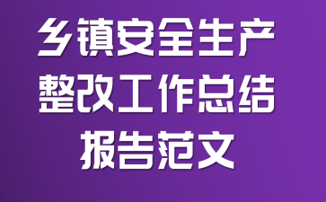 乡镇安全生产整改工作总结报告范文