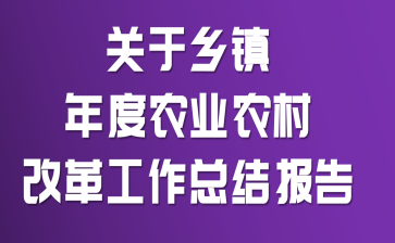 关于乡镇年度农业农村改革工作总结报告
