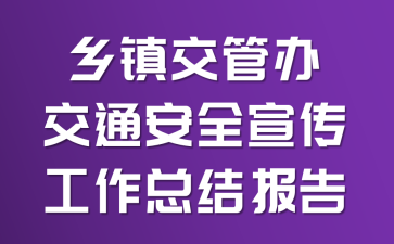 乡镇交管办交通安全宣传工作总结报告