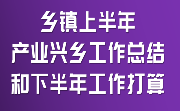 乡镇上半年产业兴乡工作总结和下半年工作打算