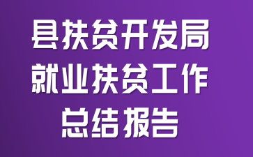 �ط�ƶ�����־�ҵ��ƶ�����ܽᱨ��