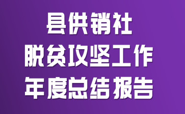 县供销社脱贫攻坚工作年度总结报告范文