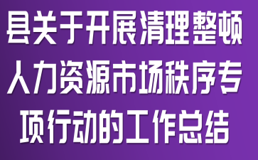 县关于开展清理整顿人力资源市场秩序专项行动的工作总结