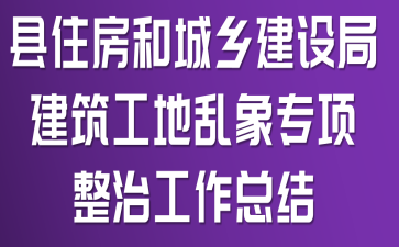 县住房和城乡建设局建筑工地乱象专项整治工作总结