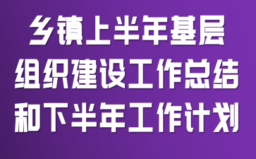乡镇上半年基层组织建设工作总结和下半年工作计划