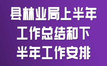县林业局上半年工作总结和下半年工作安排