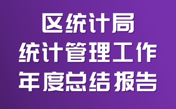 ��ͳ�ƾ�ͳ�ƹ�����������ܽᱨ��