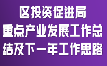 ��Ͷ�ʴٽ����ص��ҵ��չ�����ܽἰ��һ�깤��˼·