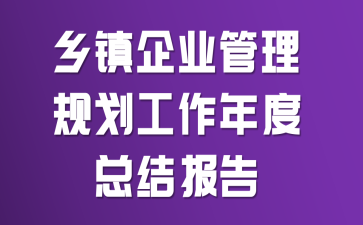 ������ҵ�����滮��������ܽᱨ��