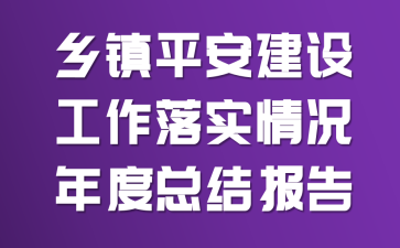 ����ƽ�����蹤����ʵ�������ܽᱨ��