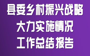 ��ί�������ս�Դ���ʵʩ��������ܽᱨ��