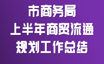 ��������ϰ�����ó��ͨ�滮�����ܽ�