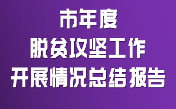 �������ƶ���Ṥ����չ����ܽᱨ��