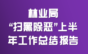 ��ҵ�֡�ɨ�ڳ����ϰ��깤���ܽᱨ��