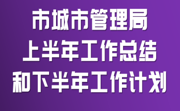 市城市管理局上半年工作总结和下半年工作计划