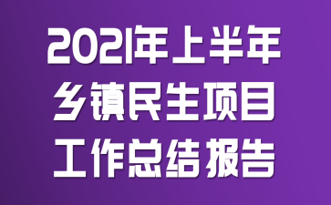 2021���ϰ�������������Ŀ�����ܽᱨ��