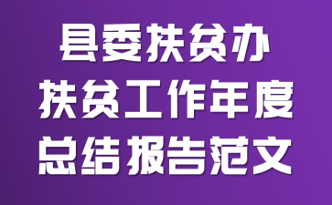 ��ί��ƶ���ƶ��������ܽᱨ�淶��