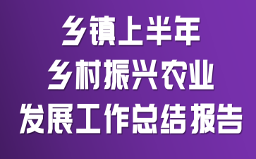 乡镇上半年乡村振兴农业发展工作总结报告