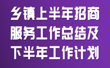 乡镇上半年招商服务工作总结及下半年工作计划