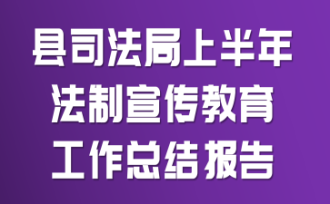 ��˾�����ϰ��귨���������������ܽᱨ��