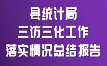 ��ͳ�ƾ���������������ʵ����ܽᱨ��