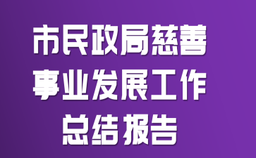 市民政局慈善事业发展工作总结报告